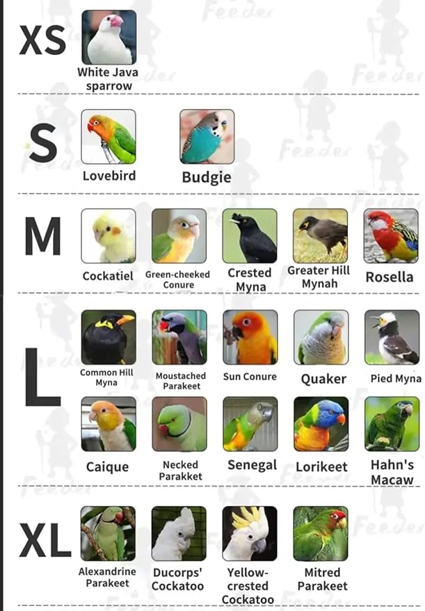 Bird Flight Suit & Clothes Cosplay Photo Prop for Parrots, Parakeet, Cockatiel & Sun Conure - Bird Hoodie Small Animals Apparel (Black, X-Large)