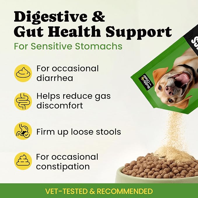 Dog Daily Nutrition & Digestive Support Bundle – Multivitamin Soft Chews with Probiotic Powder for Gut Health & Wellness