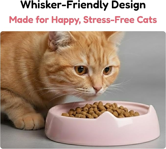 2 Pcs Whisker-Friendly Cat Food Bowl, Melamine Shallow & Wide Cat Bowl for Indoor Cats,Relieves Whisker Fatigue,Non-Slip Cat Dish for Wet and Dry Food (Pink*2, 6.3")