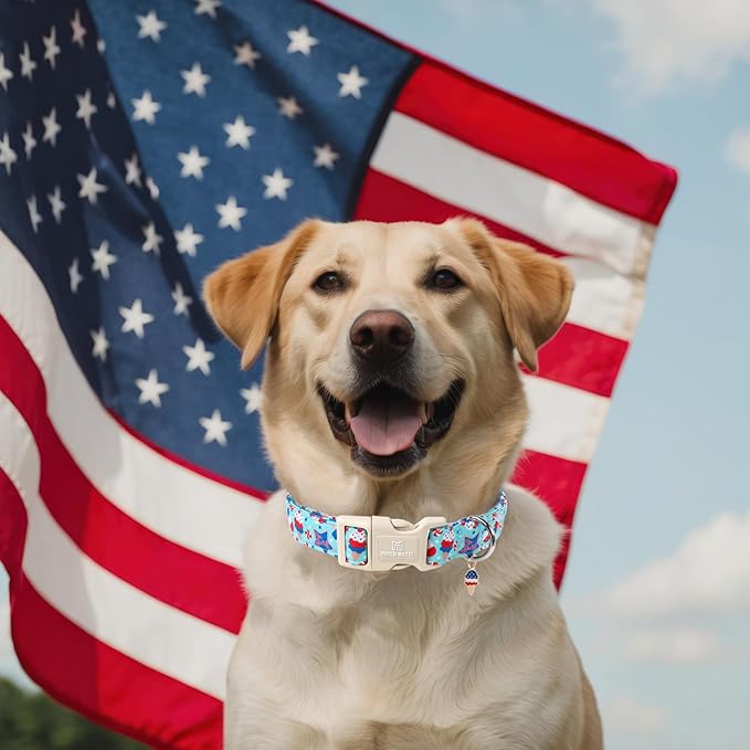 Maca Bates 4th of July Basic Dog Collar with Safety Buckle American Flag Patriotic 4 of 7 Dogs Collars Adjustable Soft Blue Independence Day Gift for Small Medium Large XL Boy Girl Male Female Puppy