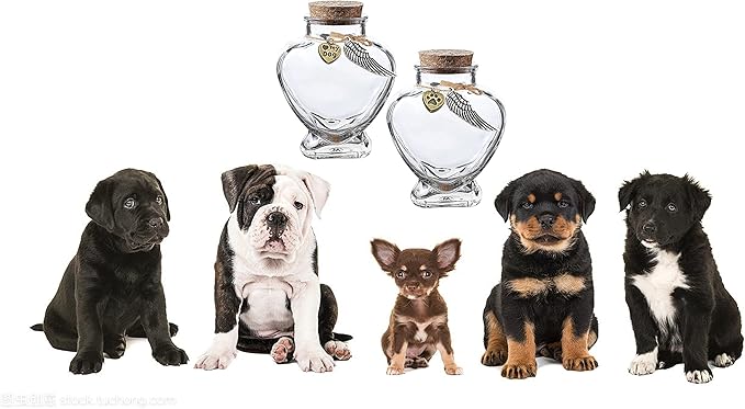 memorial bottle for pet hair，Pet fur memorial fur keepsake，dog cat keepsake fur, pet memorial urn (dog)