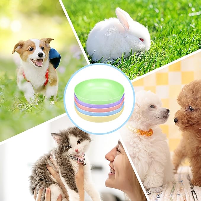 TKOnline 10 Pcs Cat Food Bowl, 5.6 Inch Plastic Shallow Pet Food and Water Dish for Relief Whisker Fatigue, Wide Cat Wet Feeding Bowls, Small Flat Dish for Indoor Outdoor Kittens Dogs