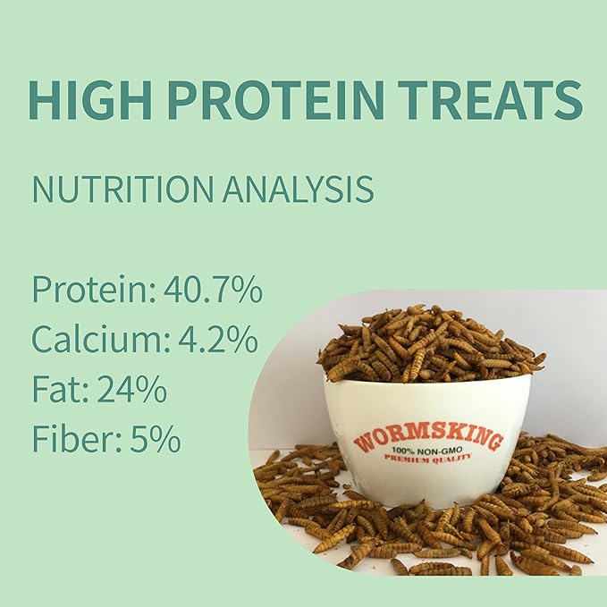 WORMSKING 2LB Dried Black Soldier Fly Larvae, More Calcium Than Dried Mealworms, High Protein Chicken Feed, Poultry Treat, Chicken Scratch