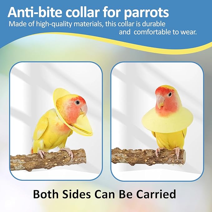 4Pack Bird Cone Collar, Anti-Grab Feather Plucking Wound Healing Safety Elizabethan Collar, Protective Recovery Cones for Budgerigar Cockatiel Lovebirds Cockatoo Parrots (L)