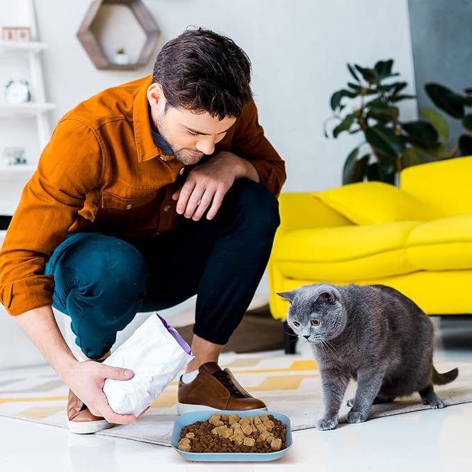 8 Pieces Cat Food Bowl Set, 6 inch Wide Shallow Cat Bowl for Relief Whisker Fatigue,Small Flat Cats Dish, Shallow Pet Feeding Dish or Plate for Kittens and Small Dogs