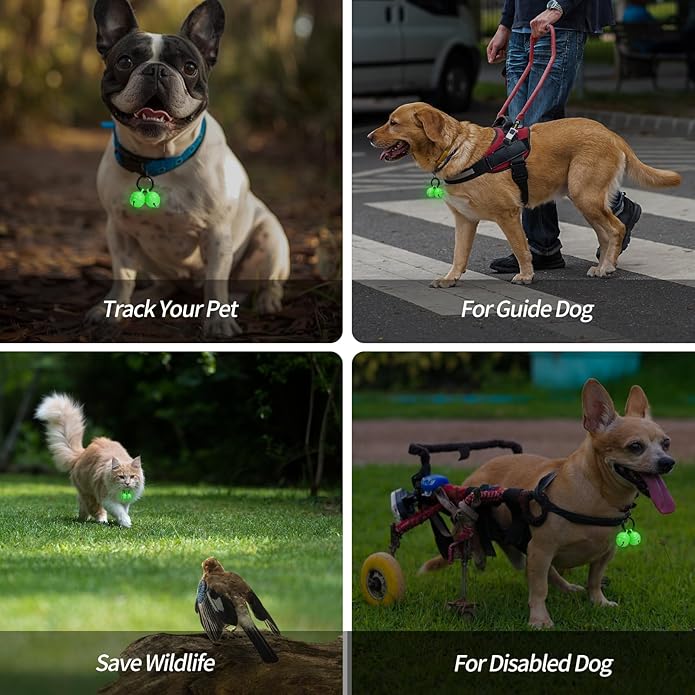 Bells for Dog Collar, Glow Bell for Medium to Large Dogs, Easy Clip Clasp, Extra Loud Pet Tracker & Save Wildlife, Durable Copper Bells (Small-medium breed)