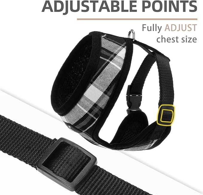 PUPTECK Soft Mesh Dog Harness and Leash Set Pet Puppy Cat Comfort Padded Vest No Pull Harnesses, Black, S