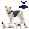 DAJIDALI® Dog & Cat Anxiety Vest & Spay Recovery Suit – Silent Calming Wrap for Surgery, Thunderstorms – Breathable Cone Alternative