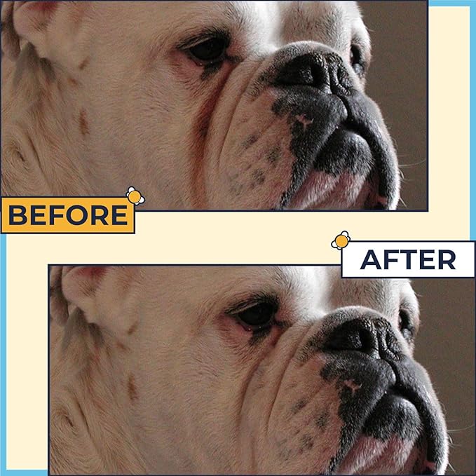 Paste for Bulldogs Wrinkle 2oz - Wrinkle Cream for Dogs, English Bulldog, Frenchie, Pug - Cleans Rashes,Tail Pockets, Dry Skin & Paws (Made in USA)