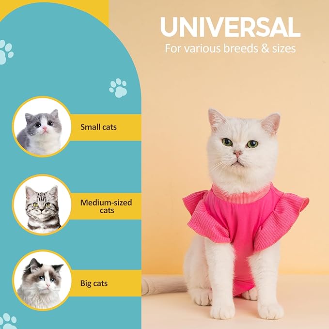 Avont Cat Recovery Suit - Post-Surgery Onesie for Cats, Alternative to Cone of Shame, Protective Spay Suit for Female Kitten, Ideal for Healing and Skin Conditions -Magenta(M)