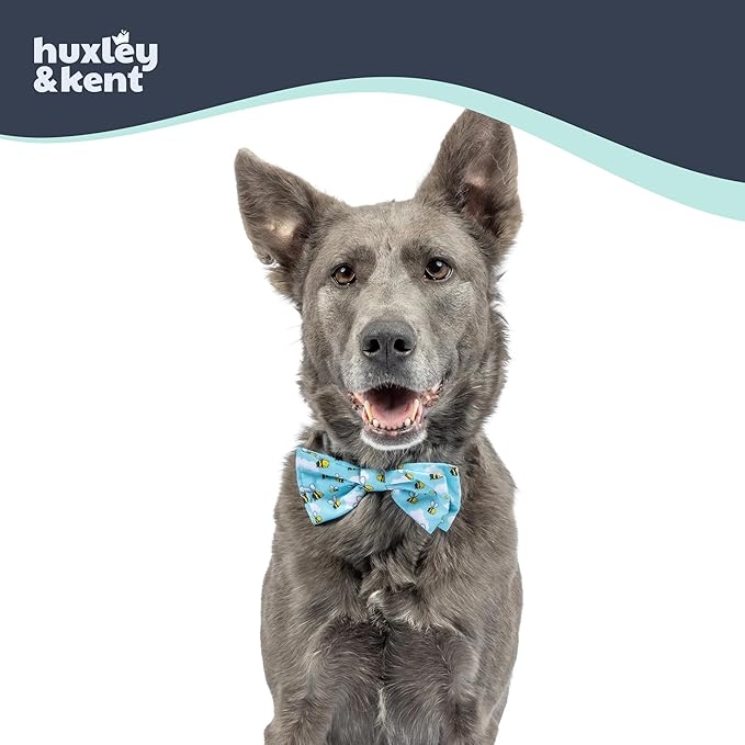 Huxley & Kent Pet Bow Tie for Dogs & Cats - Spring Theme Adjustable Hook & Loop Collar Accessory - Cute & Comfortable for Holidays & Celebrations - Busy Bees, Large