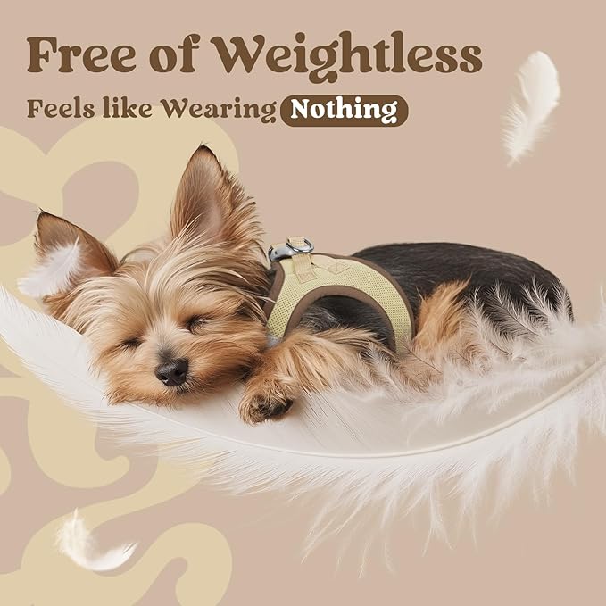 rabbitgoo Small Dog Harness, Step-in Soft Mesh Puppy Vest with Safety Buckle, Breathable Reflective Pet Harness for Extra Small Dogs, Brown & Beige XXS