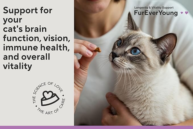 Senior Cats Vision & Brain Longevity | Premium Feline Supplement | Functional Mushroom Complex + Taurine | Vet-Formulated with DHA, Arachidonic Acid & L-Arginine
