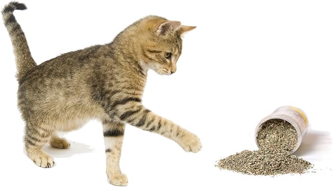 Catnip, Premium Blend Safe for Cats, Infused with Maximum Potency Your Kitty is Sure to Go Crazy for (1 Cup)