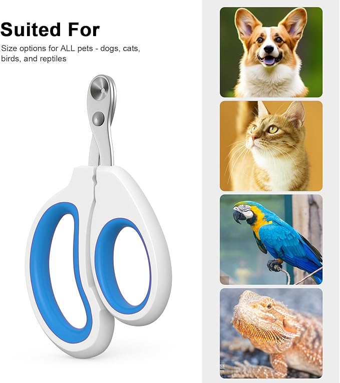 Aogeili Cat Specific Nail Clipper, Avoiding Excessive Cutting, Suitable for Beginners. It Can Also be Used for Small Animals Such as Birds, Hamsters, Rabbits, Hedgehogs, Ferrets, Guinea Pigs, Etc.