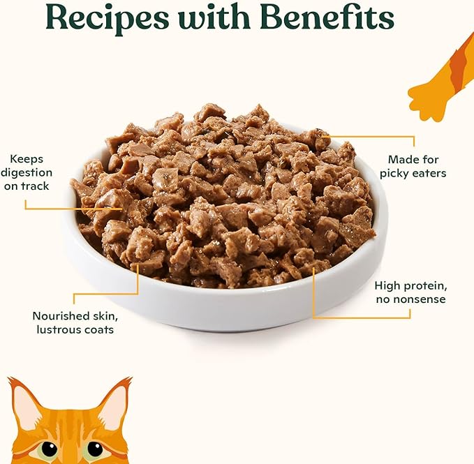 Made by Nacho Wild-Caught Chicken & Herring Recipe with Bone Broth Minced Wet Cat Food, 5.5-oz can, Case of 6