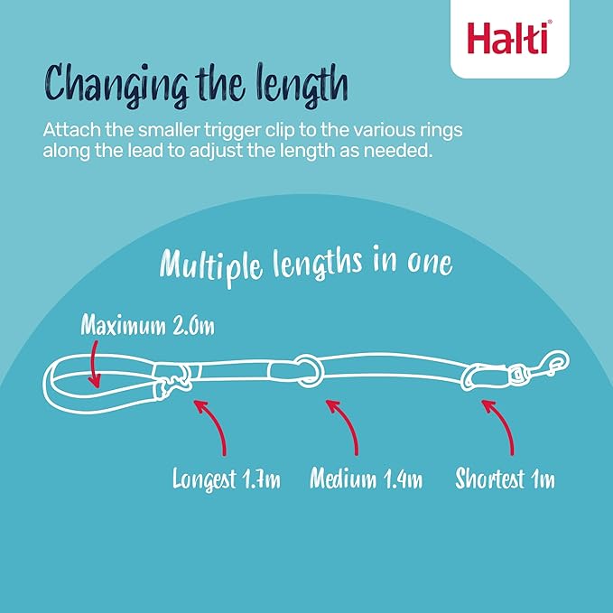 Halti Headcollar Size 4, Black & Halti Training Leash Size Large, Black Combination Pack - Stop Your Dog Pulling on the Leash. Adjustable, Lightweight with Padded Nose Band. Suitable for Large Dogs