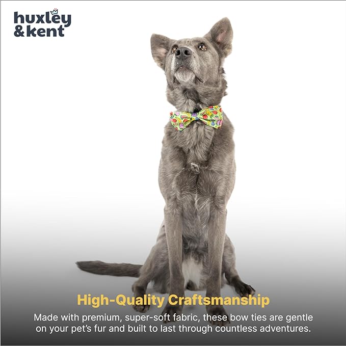 Huxley & Kent Pet Bow Tie for Dogs & Cats - Adjustable Hook & Loop Collar Accessory - Cute & Comfortable for Holidays & Celebrations - Tutti Fruity, Large