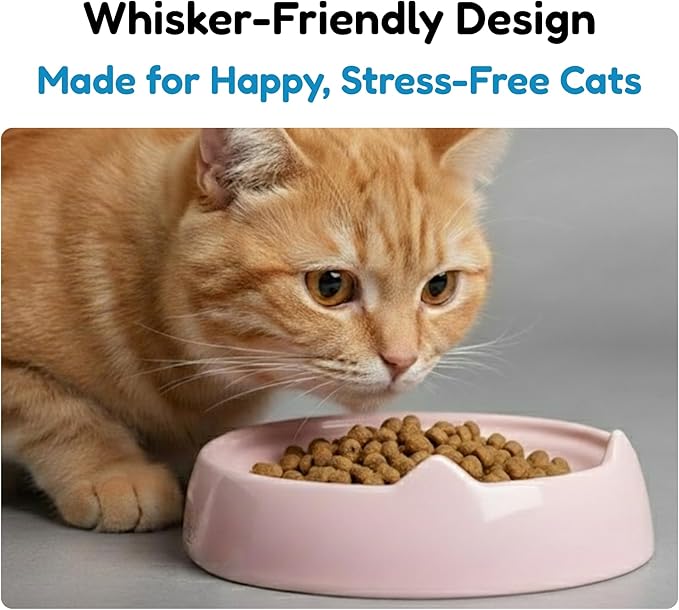 2 Pcs Whisker-Friendly Cat Food Bowl, Melamine Shallow & Wide Cat Bowl for Indoor Cats,Relieves Whisker Fatigue,Non-Slip Cat Dish for Wet and Dry Food (Blue*2, 6.3")