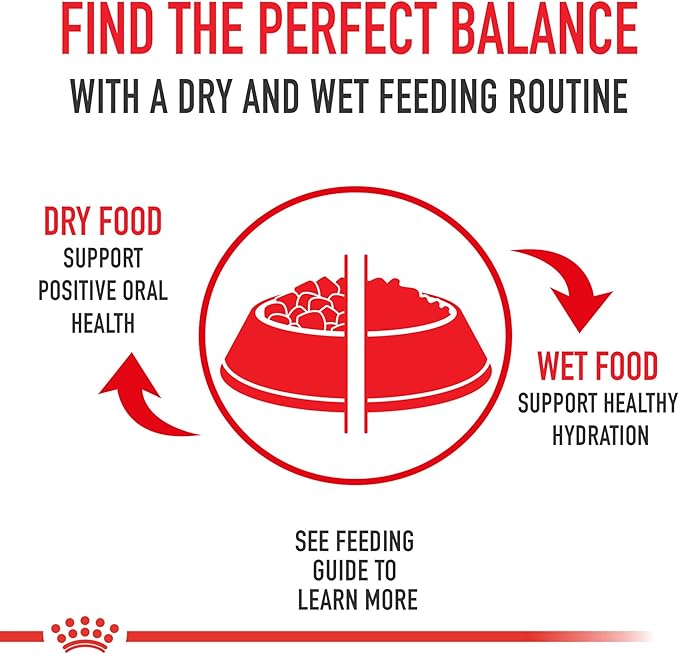 Royal Canin Feline Health Nutrition Sensitive Digestion Adult Dry Cat Food, 3.5 lb Bag