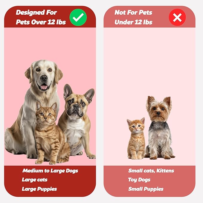 Pet Toothbrush for Dogs, Cats with Soft Bristles - Easy Teeth Cleaning & Dental Care, Non Slip Dual Head Dog Toothbrush for Medium & Large Pets, Toothpaste Not Included, Pack of 1