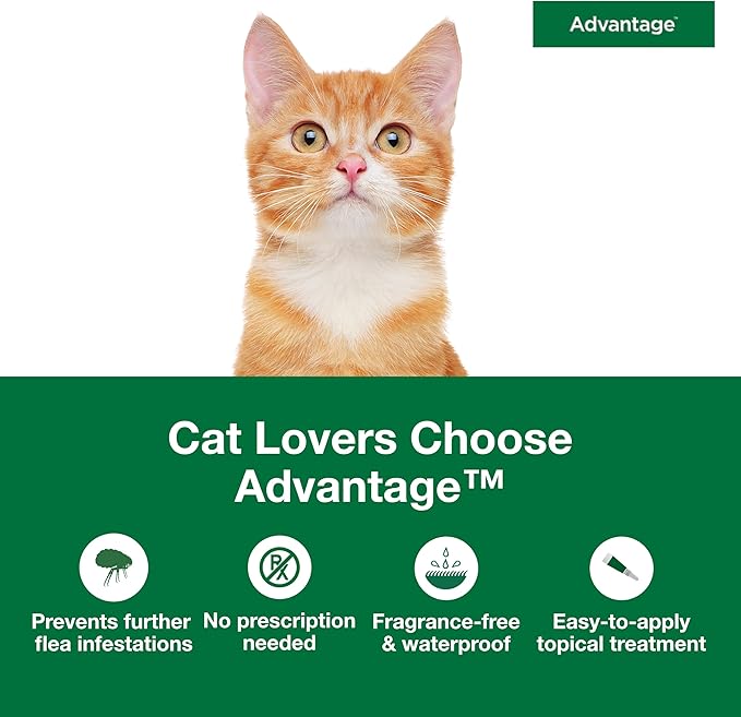 Advantage Topical Cat Flea Treatment and Prevention for Small Cats 2-9 lbs. | Apply Flea Drops Monthly | 4 Treatments (Pack of 2)