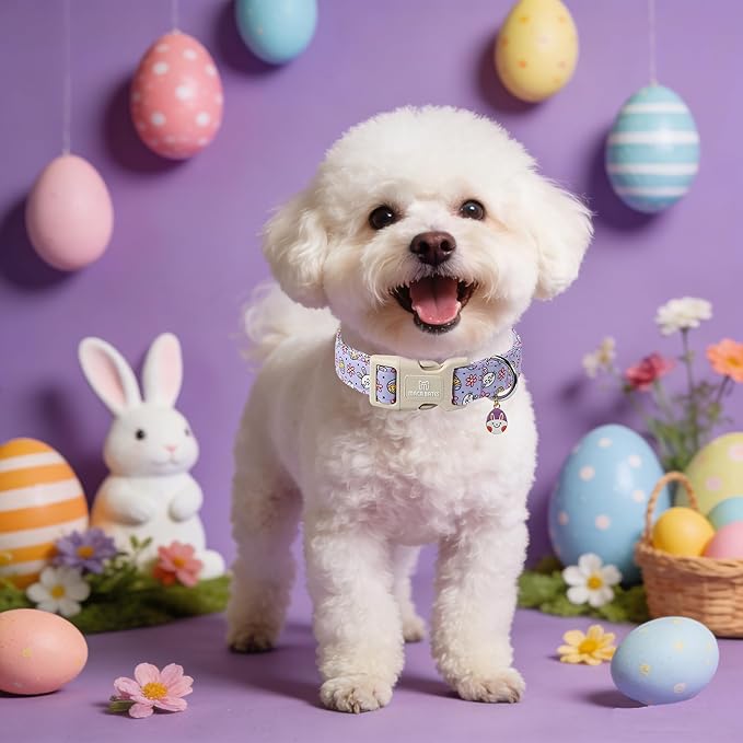 Maca Bates Easter Day Purple Egg and Bunny Dog Baisc Collar for Extra Small Boy Girl Dogs,Cute Eggs Soft Durable Adjustable Easters Rabbit Puppy Collors Gift for Male Female Pet