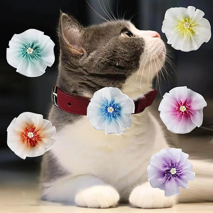 6Pcs Dog Collar Accessories, Floral Charms Decorations for Dogs and Cats