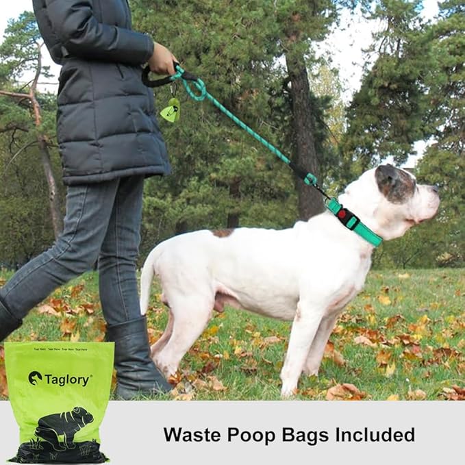 Taglory Rope Dog Leash 6 FT with Comfortable Padded Handle, Highly Reflective Threads Leash and Anti-Tangle Clip for Walking Medium Large Dogs, 1/2 inch, Turquoise