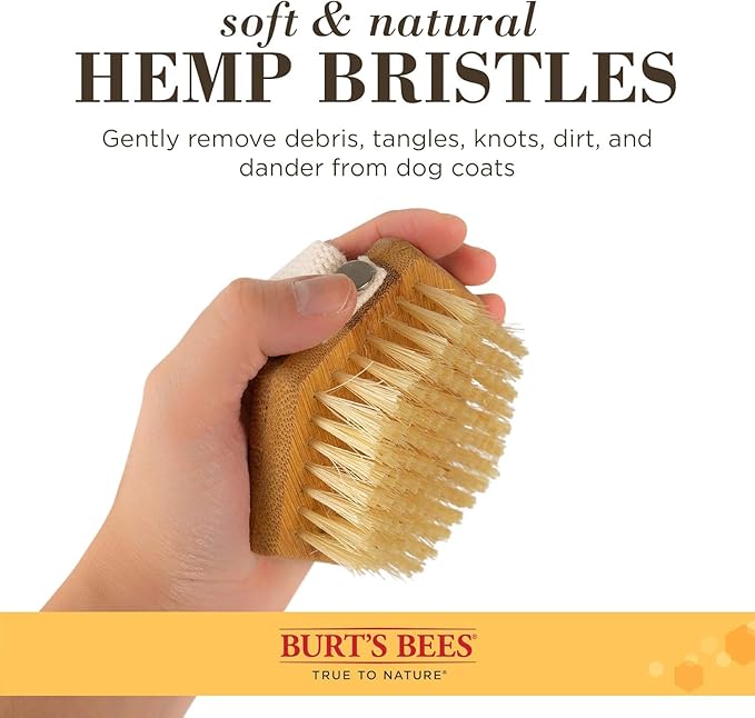 Burt's Bees for Pets Palm Brush with Hemp Bristles - Ergonomic Dog Brush To Groom Large Dogs - Easy to Hold Handle Reduces Stress On Your Wrist - Ideal for Daily Grooming - 2 Pack