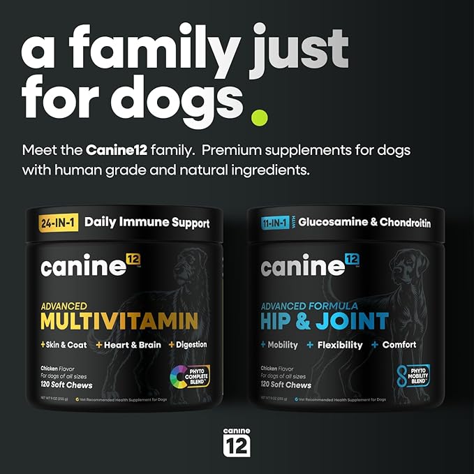 Dog Multivitamin - 24-in-1 Chewable Supplement with Vitamins A, B, C, D, E and Dog Probiotics – Premium Dog Vitamin Chews w/Human-Grade & Natural Ingredients, 120 Count