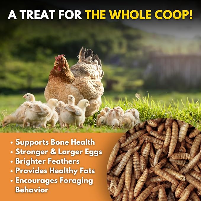 Brooks Brand Black Soldier Fly Larvae Chicken Treats, Mealworms Alternative, Grubs for Chickens, High Calcium for Laying Hens, Made in USA, 1 lbs