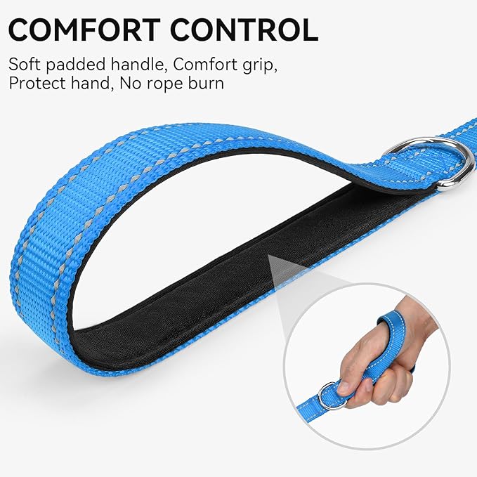 Joytale Dog Leash, 6 FT Double-Sided Reflective, Padded Handle Nylon Heavy Duty Leashes for Small Dogs Walking, Teal