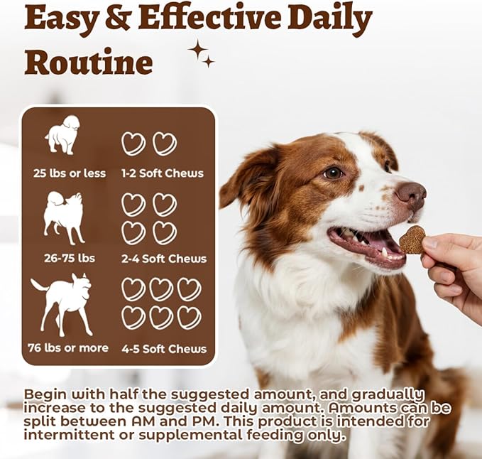 Salmon Oil Skin & Coat Supplement for Dogs-Omega 3 Fish Oil for Dog Healthy Skin & Glossy Coat with EPA & DHA Fatty Acids Heart Hip Joint Health,Skin Allergy,Hot Spots,Dry Skin,Itch Relief,Shedding