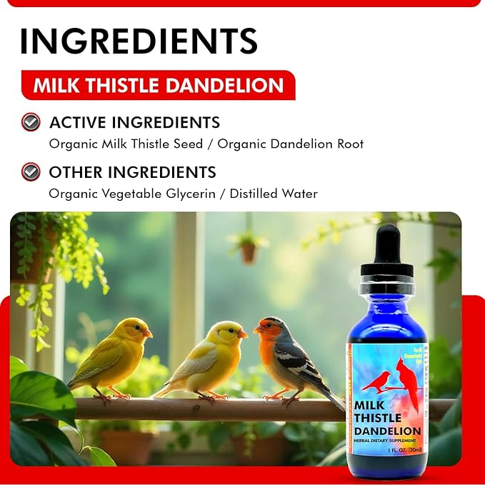 Morning Bird Milk Thistle & Dandelion Extract 1 fl oz – Organic Herbal Supplement for Birds – Supports Liver Health & Natural Detox – Suitable for All Bird Species