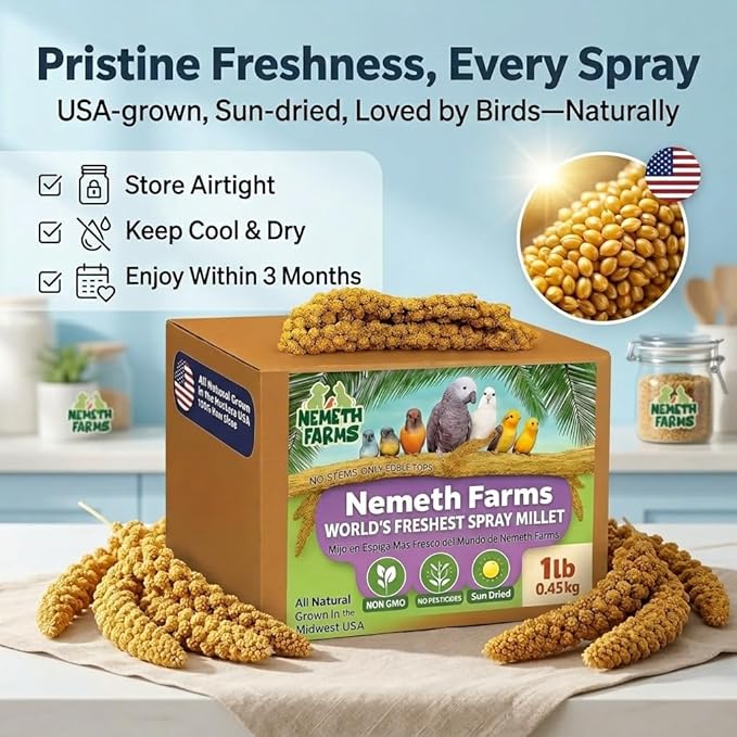 USA Grown Spray Millet for Birds – Midwest Harvest, 1 lb Premium 100% Natural, Sun-Dried Non-GMO Whole Millet Sprays, Bird Treat for Parakeets, Budgies, Cockatiels, Conures, Lovebirds & Finches