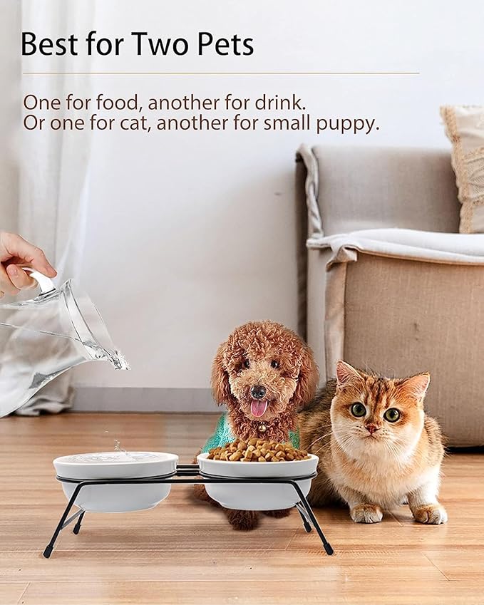 COMESOON 5" Ceramic Cat Bowl with Paws Pattern, Cat Food Bowl for Food and Water, Healthy Cat Dishes for Indoor Cats and Small Dogs, Dishwasher Safe & Microwaveable - White