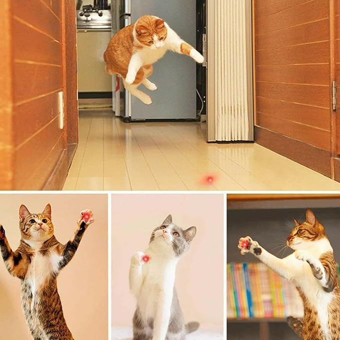 MEUSNO Lazer Pointer, Red Laser Pointer High Power Cat Laser Pointer Toy Red High Power Rechargeable Lazer Pointer for Cats Dogs Toy, High Power Laser Pointer for Presentations Cat Dogs Pet Toy