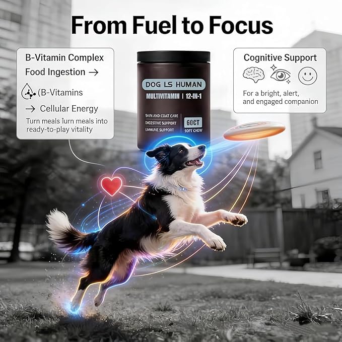 Dog Is Human Multivitamin for Dogs,Pet Vitamins Supplements for Skin and Hair,60 Chews (1PCS)