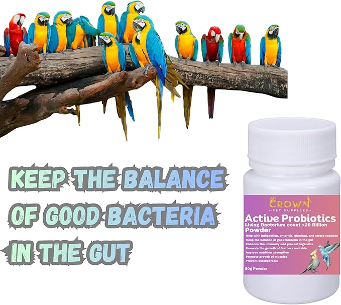 Avian Probiotic Powder – 20 Billion CFU with Beneficial Bacteria – Supports Gut Health, Digestive Balance, Nutrient Absorption, Endurance & Feather Growth for All Types of Birds 50g