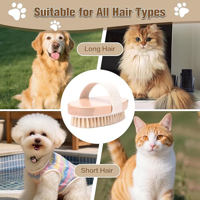 Soft Pet Palm Brush for Dog & Cat, Dog Palm Shampoo Brush for Grooming & Cleaning, Handle Brushes for Short & Long Haired Cat, Natural Pet Fur Care Oil for Reducing Shedding, Shining Coat