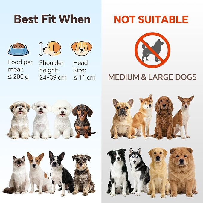 Elevated Dog Bowls for Food and Water - Double Ceramic Bowls with Metal Stand - Pet Feeding Set for Small Dogs and Cats - Each Holds 400ml / 2 Cups (Approx. 200g) - White