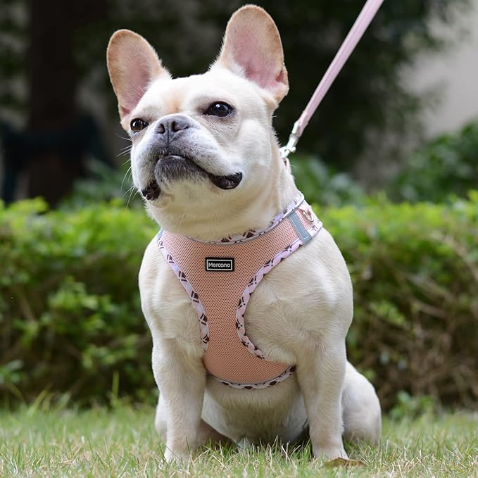 Mercano Soft Mesh Dog Harness and Leash Set, No-Chock Step-in Reflective Breathable Lightweight Easy Walk Vest Harnesses with Safety Buckle for Small Dogs, Cats (Champagne, M)