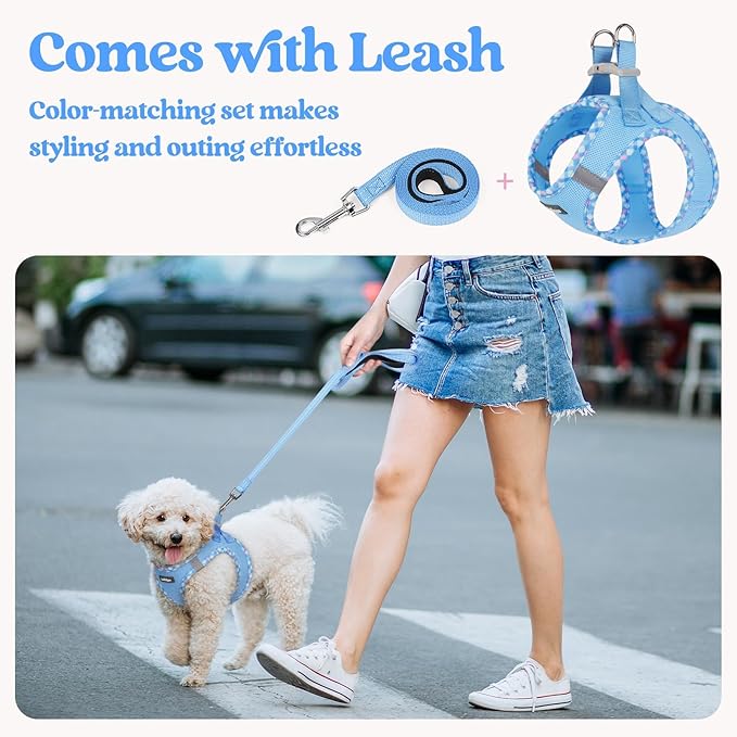rabbitgoo Dog Harness Small Medium Sized and Leash Set, Step in Soft Light Puppy Vest, Breathable Mesh Pet Harness, Reflective for Safe Easy Walking, Blue & Plaid Trim L