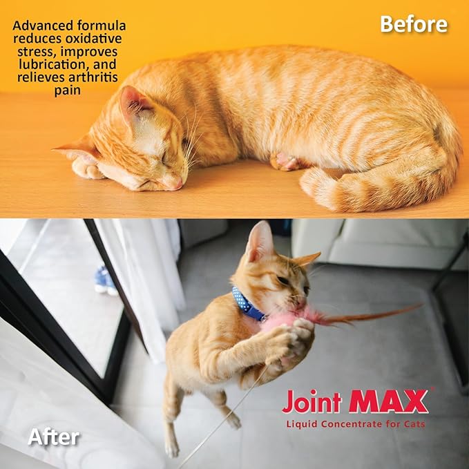 Liquid for Cats – Joint & Mobility Support Supplement with Glucosamine, MSM, Chondroitin, Omega-3 – Helps Ease Stiffness & Discomfort – 2 fl oz – Made in USA – NASC Certified