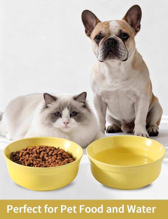 5.3 Inch Yellow Ceramic Small Dog Bowl Sets - Porcelain Wide Mouth Cat Food or Water Bowls, Cute Feeding Bowls for Indoor Small Size Dog, for Wet or Dry Food