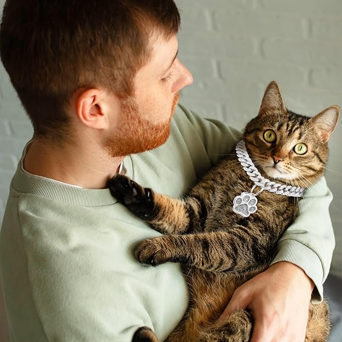 Hillban Cat Collar Diamond Chain Glitter Collar Walking Metal with Secure Buckle Cat Pet Necklace with Paw Charm and ID Tag Bell Link Cuban Jewelry Accessories Gift(10 Inch,Silver)