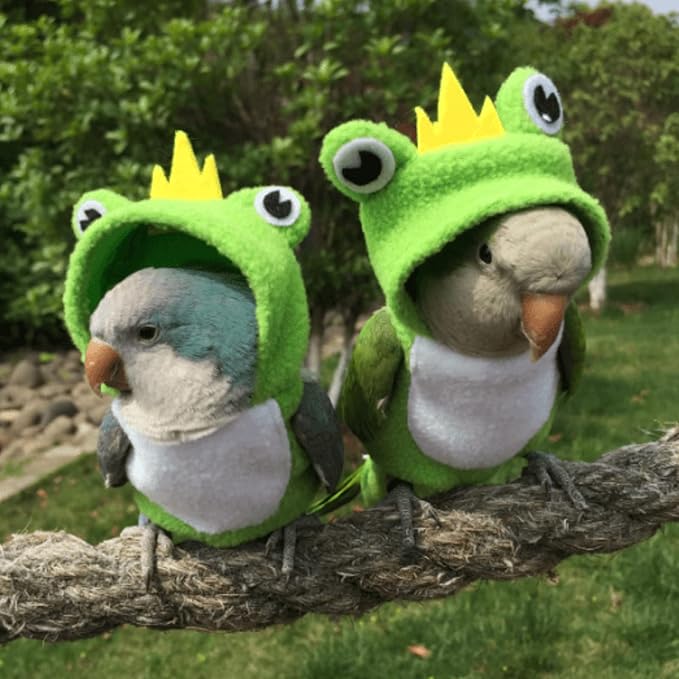 Bird Costume Bird Diaper Flight Suit Frog Shape Hoodie Bird Clothes Cosplay Photo Prop for Parrots Parakeet Cockatiel Sun Conure, Bird Hoodie Small Animals Apparel (Pink with Diaper, Small)