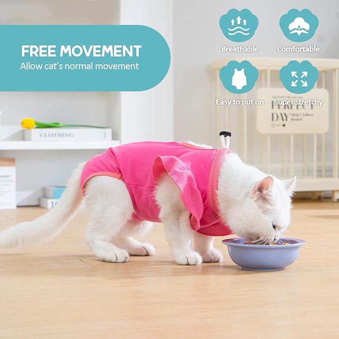 Avont Cat Recovery Suit - Post-Surgery Onesie for Cats, Alternative to Cone of Shame, Protective Spay Suit for Female Kitten, Ideal for Healing and Skin Conditions -Magenta(L)