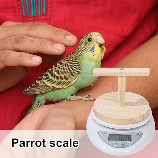 Parrot Scale - Small Pet Digital Scale | Bird Weight Balance Tool, Budgies Weighing Scale, Bird Weight Measuring Tool, Convenient Weight Changing Monitoring Tool for Medication Milk Powd